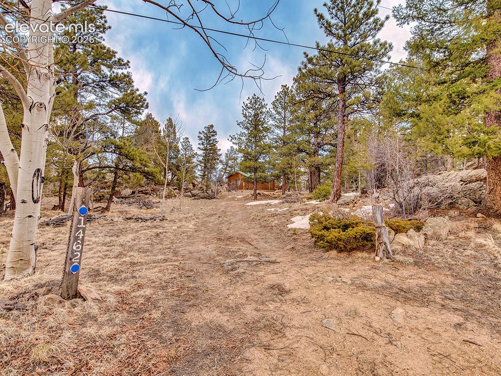 1462 Pulver Road Lake George, CO 80827 - Photo 25 of 25 a view of yard covered with snow