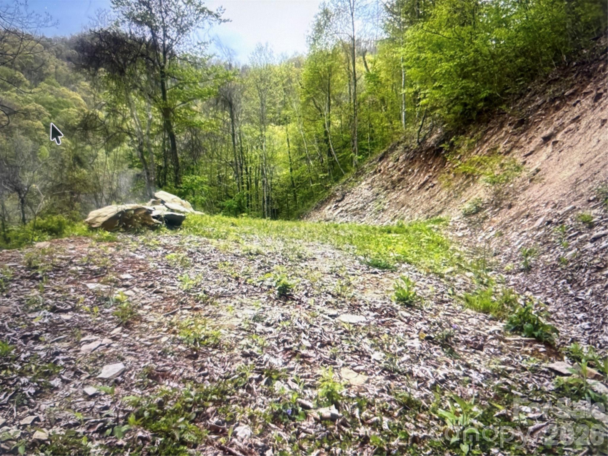 0 Huckleberry Walk, Unit 61 Bryson City, NC 28713 - Photo 5 of 10
