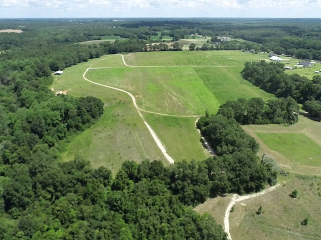 16-ac 16-ac National Road Dothan, AL 36301 - Photo 38 of 45