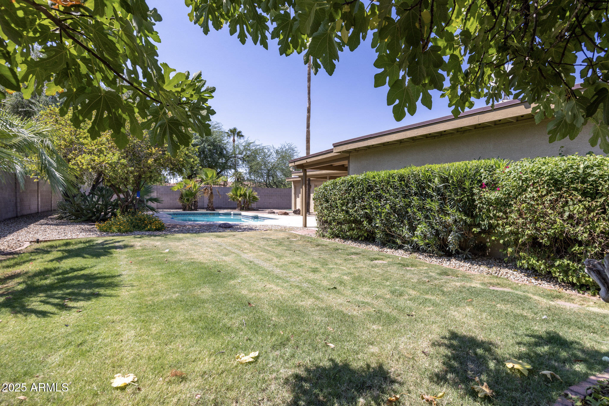 5701 East Sandy Lane Scottsdale, AZ 85254 - Photo 43 of 48 a backyard of a house with lots of green space