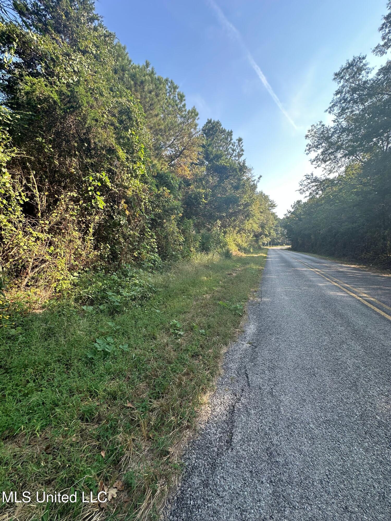 Stratton Road Union, MS 39365 - Photo 16 of 16 IMG_1467