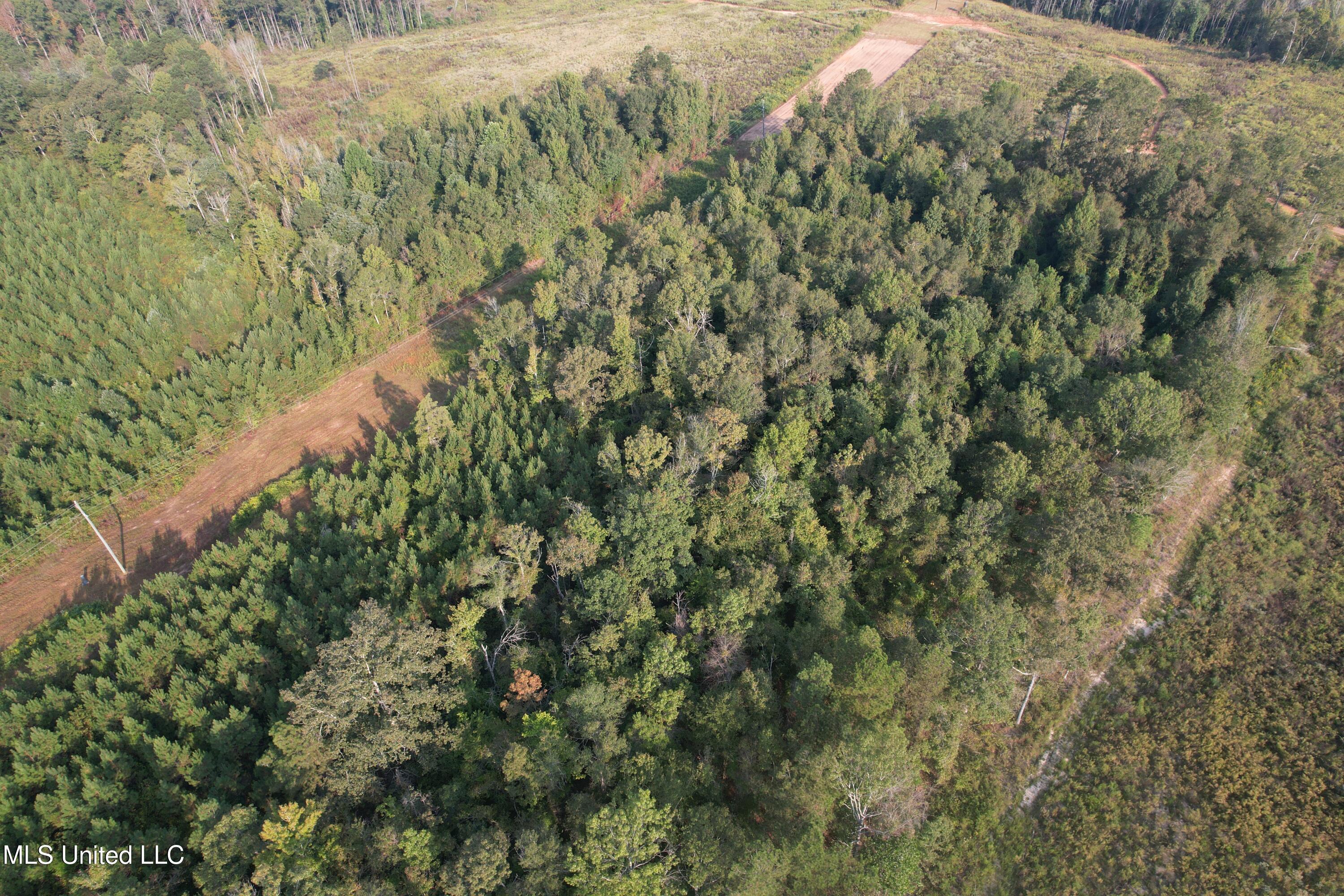 Stratton Road Union, MS 39365 - Photo 3 of 16 DJI_0125