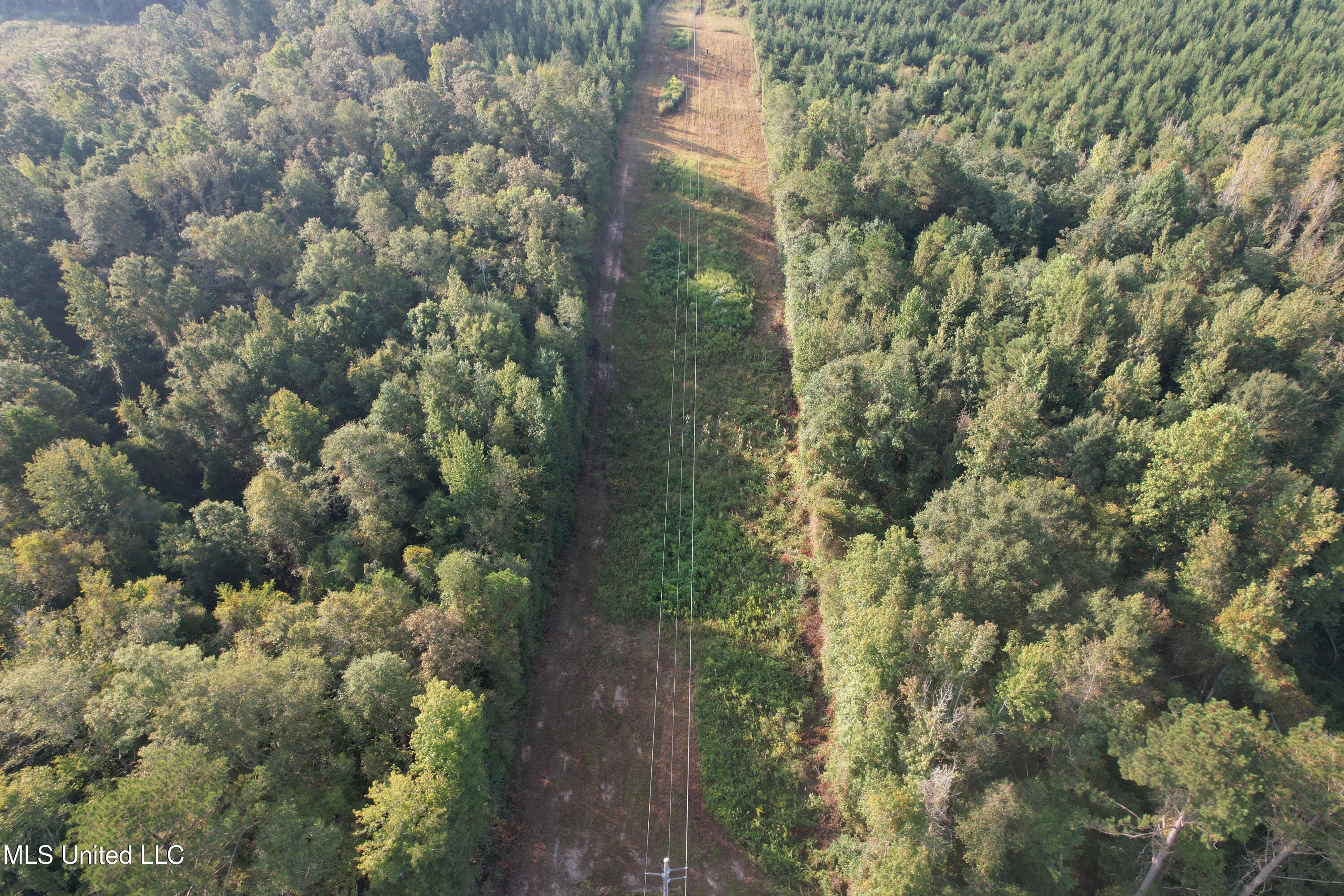 Stratton Road Union, MS 39365 - Photo 4 of 16 DJI_0126