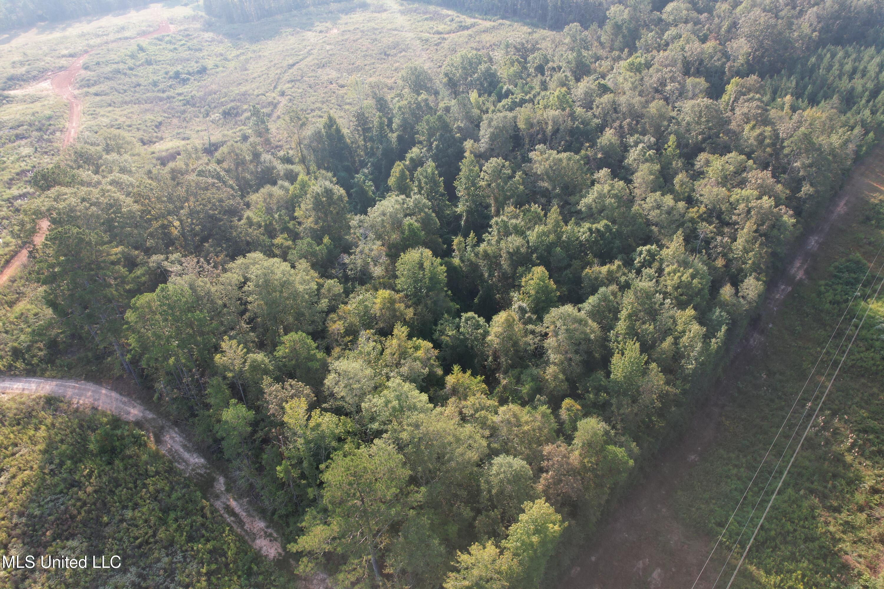 Stratton Road Union, MS 39365 - Photo 5 of 16 DJI_0127