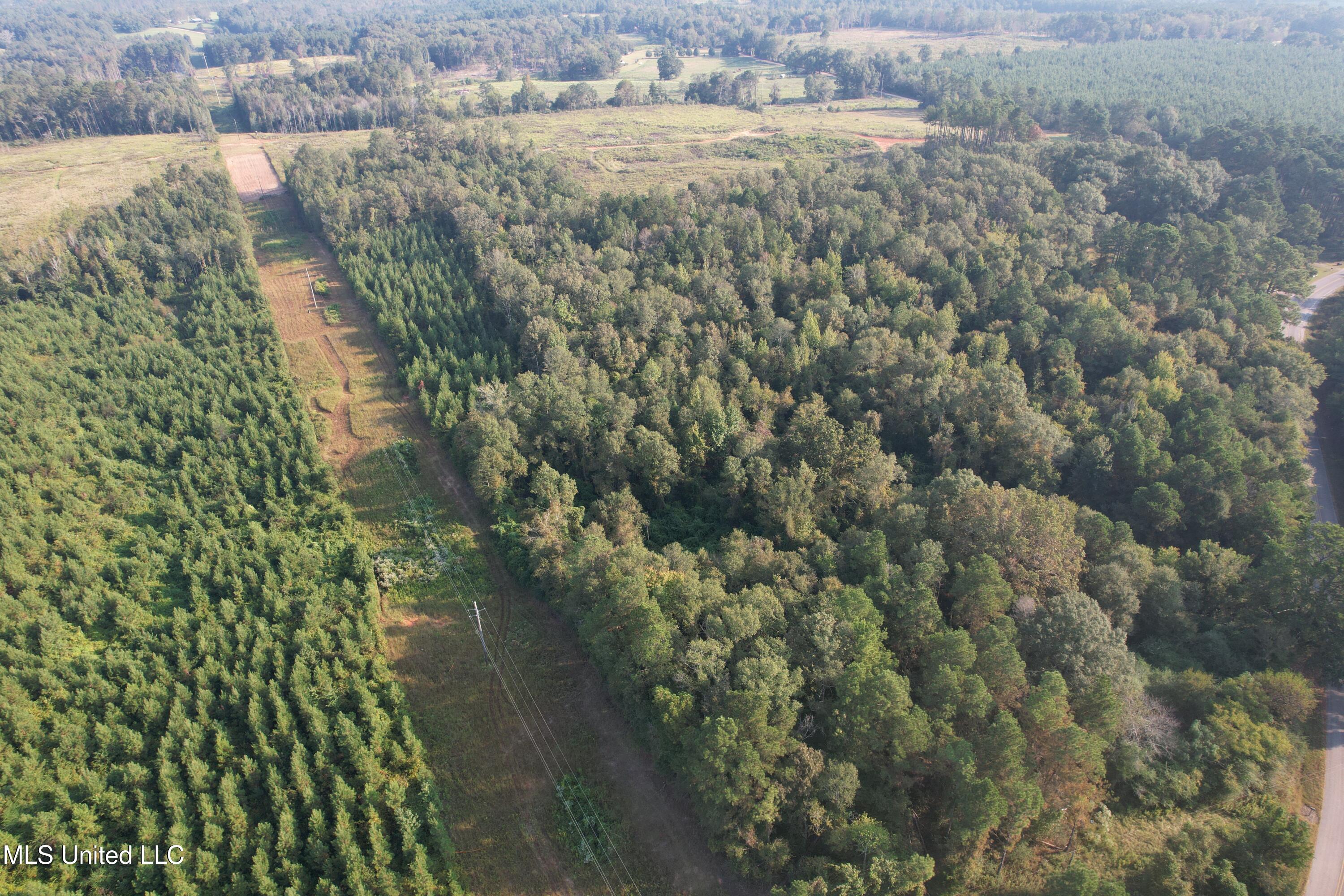 Stratton Road Union, MS 39365 - Photo 8 of 16 DJI_0131