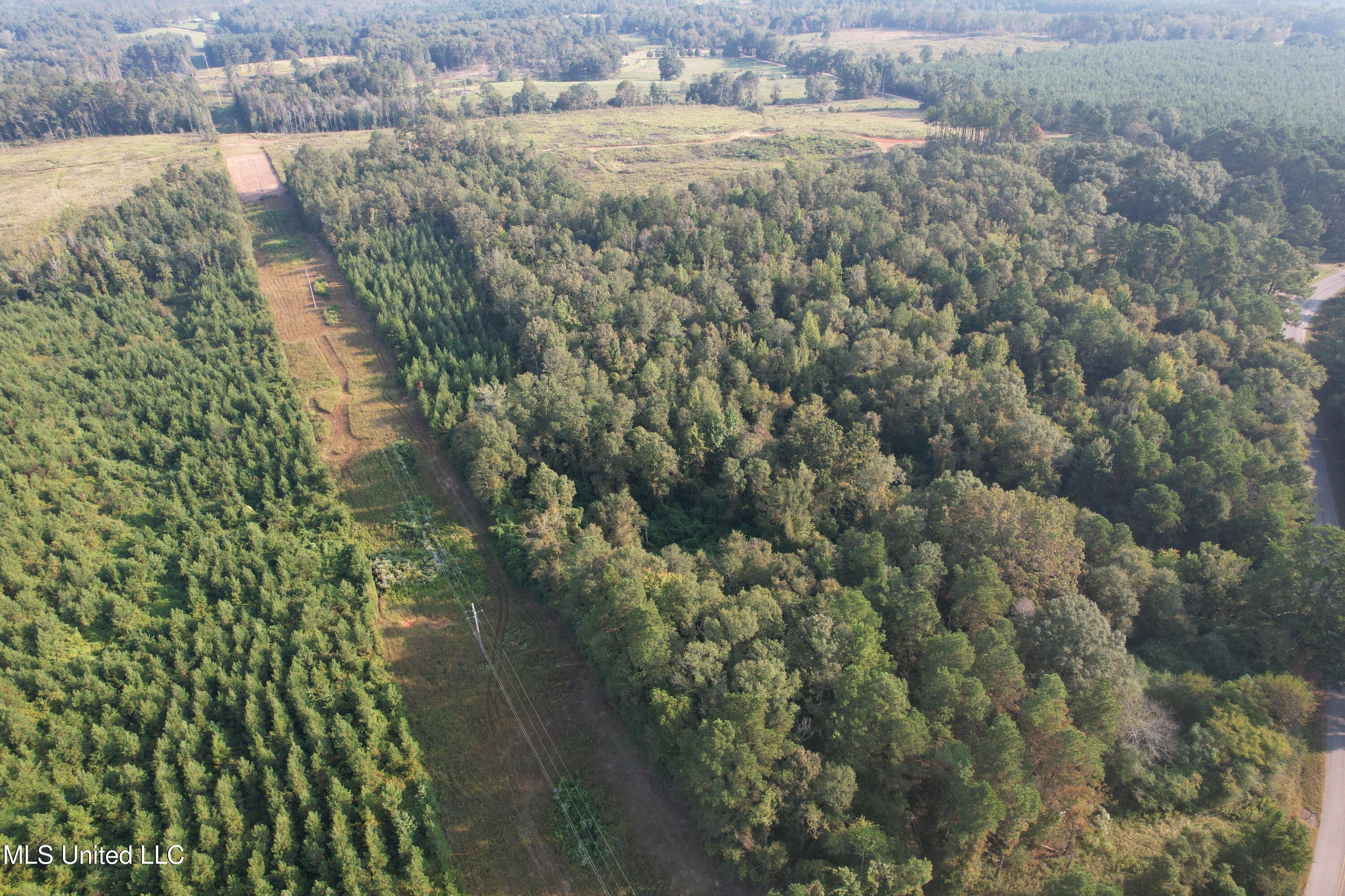 Stratton Road Union, MS 39365 - Photo 9 of 16 DJI_0132