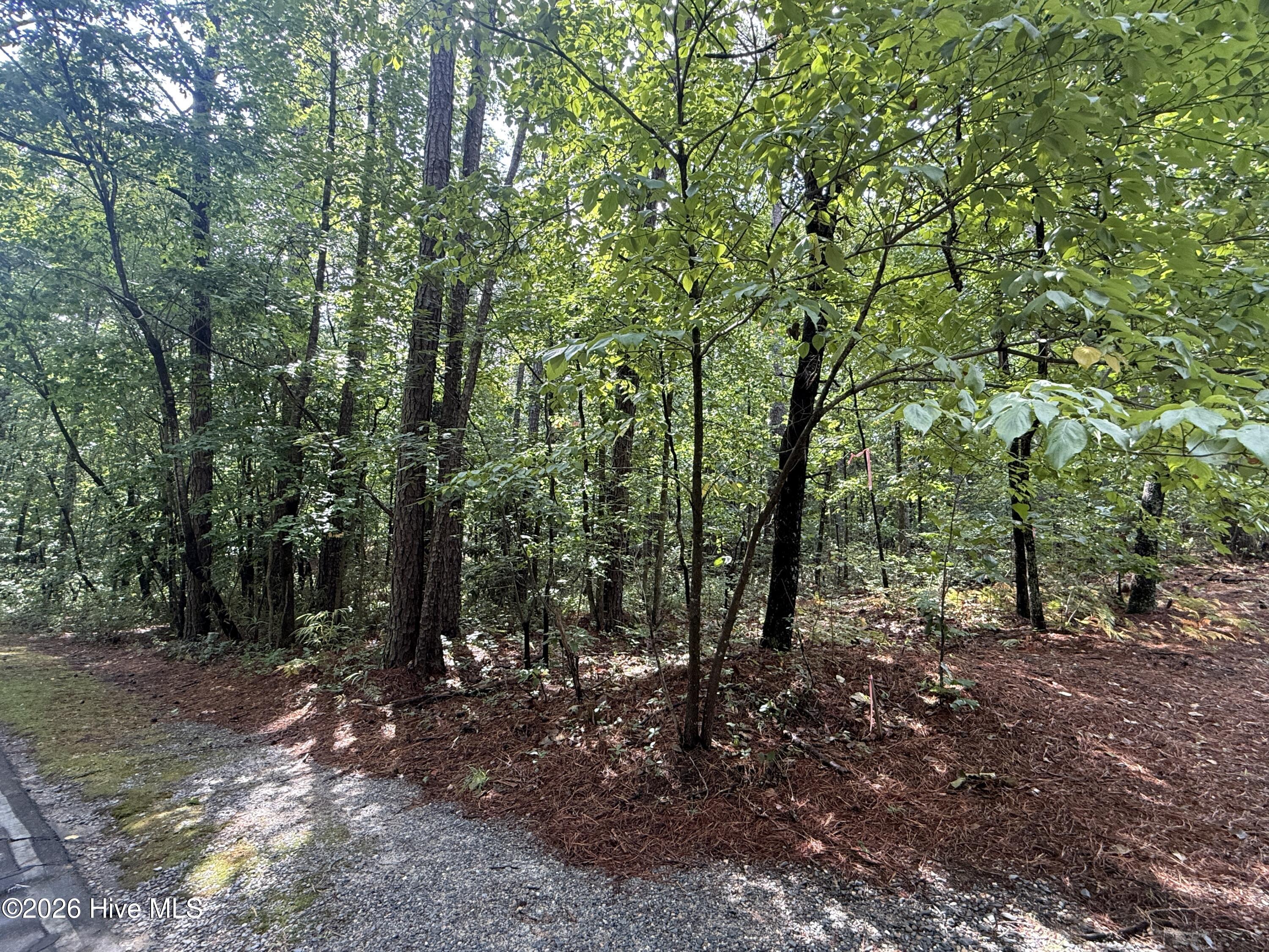 149 Hastings Road West End, NC 27376 - Photo 1 of 4