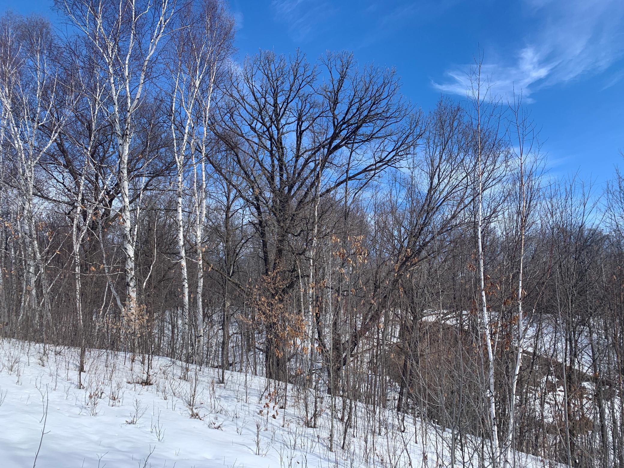 Na Ravine Road Pine City, MN 55063 - Photo 1 of 1 Gallery Image 1