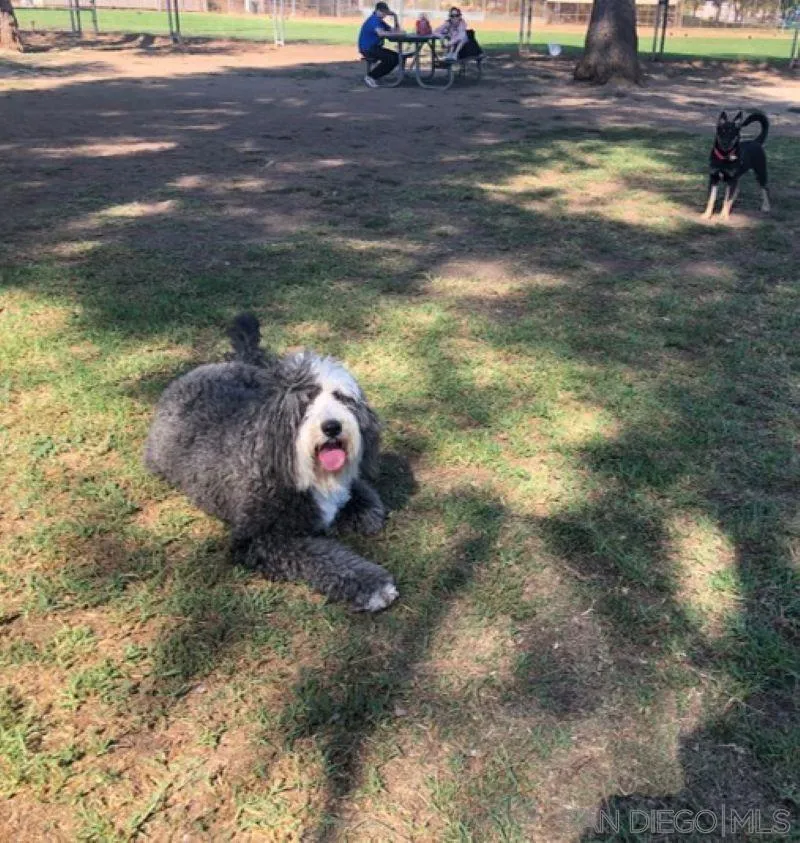 13084 Olympus Circle, Unit 2 Poway, CA 92064 - Photo 15 of 18 a backyard of a house