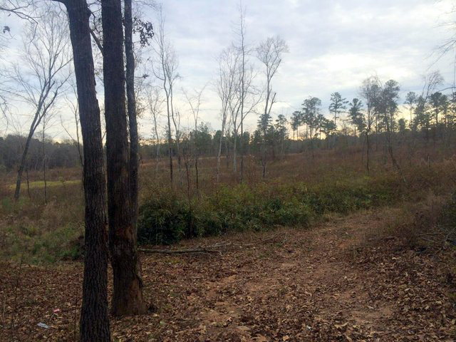 - Zebulon Road Macon, GA 31210 - Photo 1 of 3 a view of a backyard