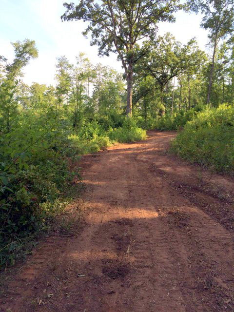 - Zebulon Road Macon, GA 31210 - Photo 2 of 3 a view of a dirt road with trees in the background