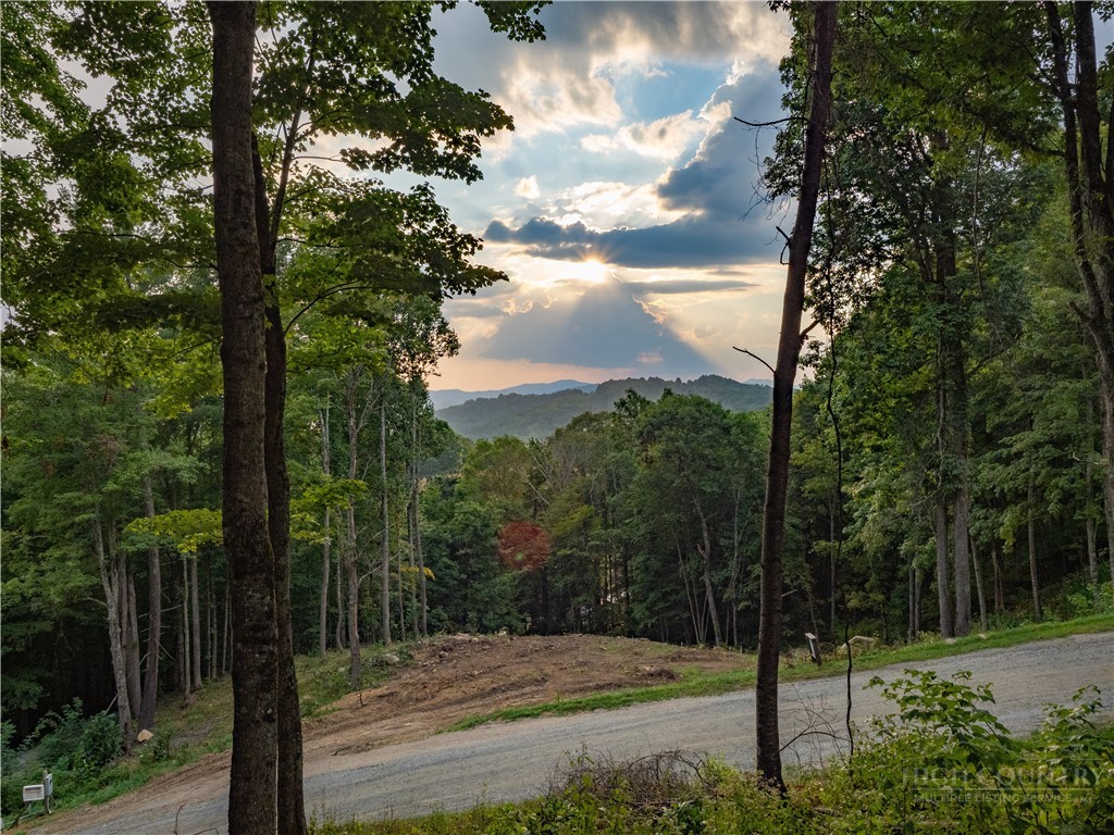 C120 Springwater Lane Banner Elk, NC 28604 - Photo 7 of 13