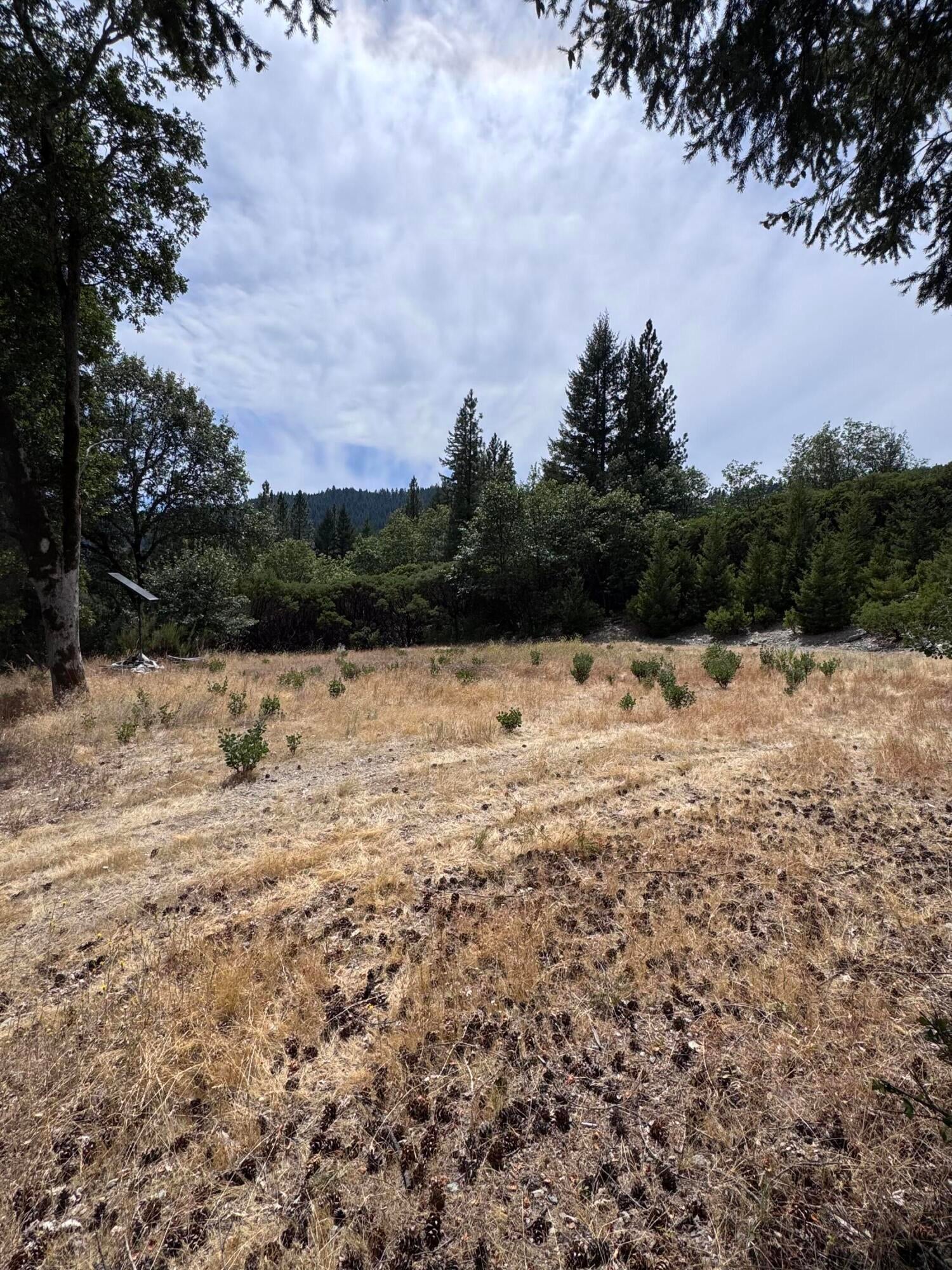 331 Lamb Road Mad River, CA 95552 - Photo 9 of 11 Gallery Image 9