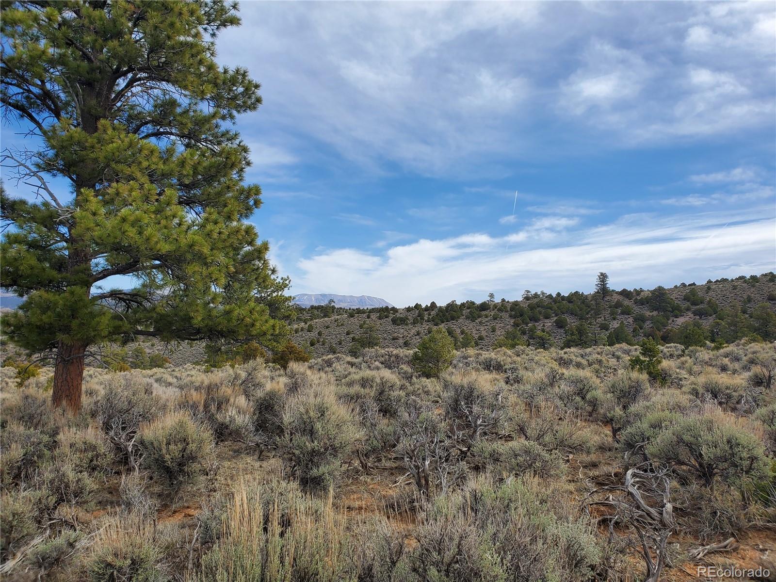 4541 Moran Road Fort Garland, CO 81133 - Photo 8 of 18 Gallery Image 8