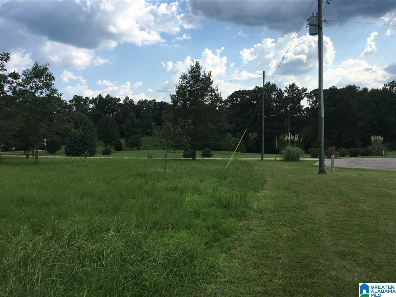 0 Payton Lane, Unit 3 Locust Fork, AL 35097 - Photo 4 of 4