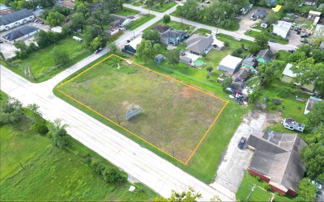 a view of a yard with plants