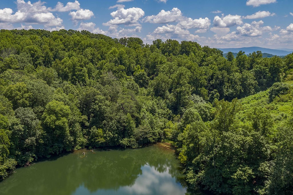 12 County Road 705 Riceville, TN 37370 - Photo 4 of 7 Gallery Image 4