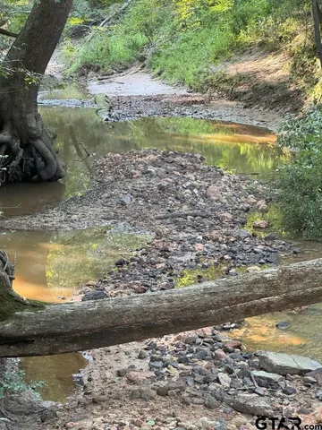 a view of a lake from a yard