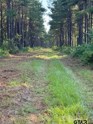a view of outdoor space with trees all around