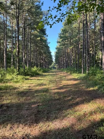 a view of outdoor space with trees
