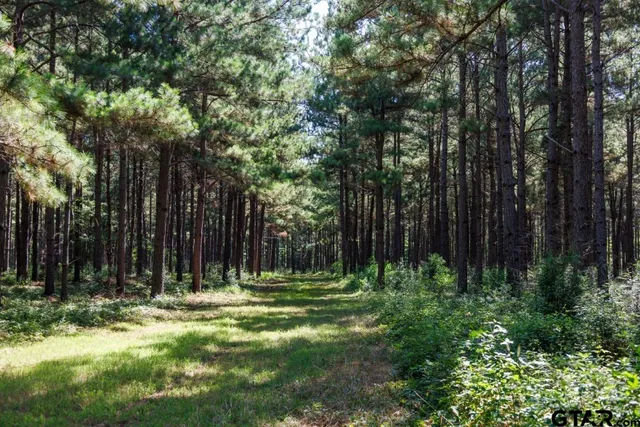 a backyard of a house with lots of green space and fountain