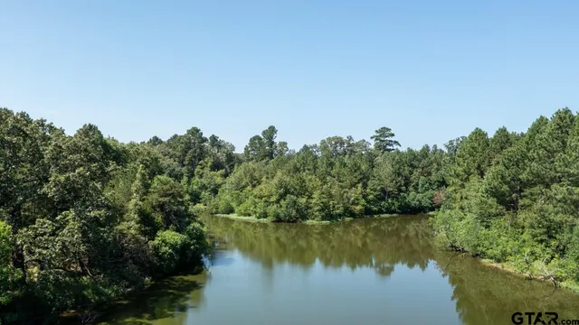 a view of a lake in middle of forest