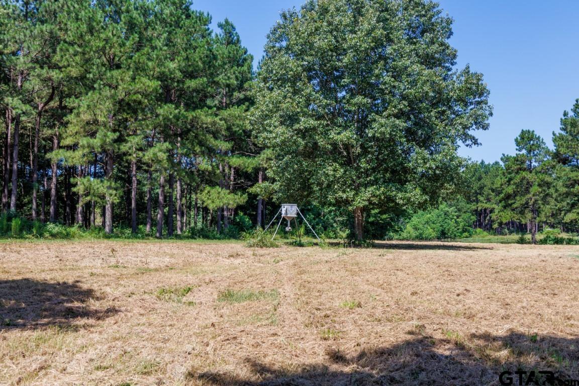 84 Timpson Tx 75975 Timpson, TX 75975 - Photo 2 of 36