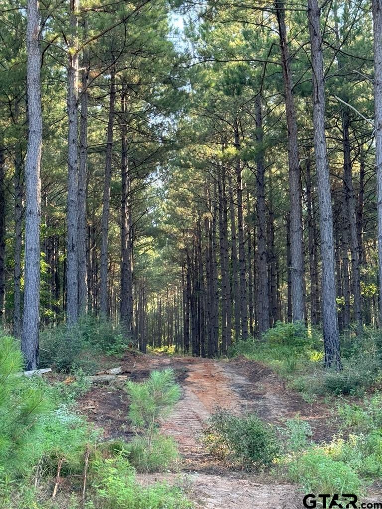 84 Timpson Tx 75975 Timpson, TX 75975 - Photo 22 of 36