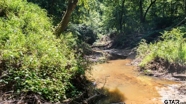 a view of backyard with green space