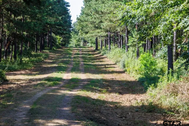 a view of outdoor space and green space