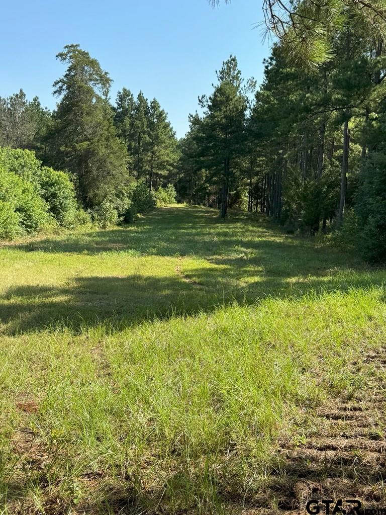 84 Timpson Tx 75975 Timpson, TX 75975 - Photo 25 of 36