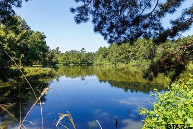 a view of a lake from a yard