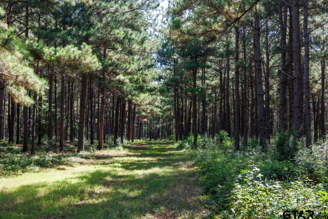 84 Timpson Tx 75975 Timpson, TX 75975 - Photo 28 of 36