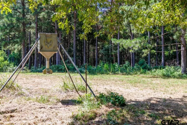 a view of outdoor space with green field and trees