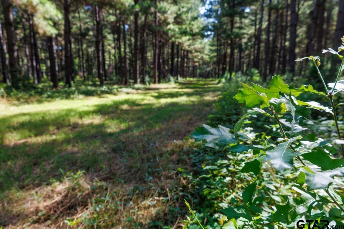 84 Timpson Tx 75975 Timpson, TX 75975 - Photo 29 of 36