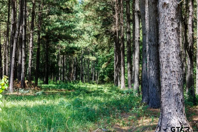 $2,161,445 | 84 Timpson Tx 75975, Timpson, TX 75975