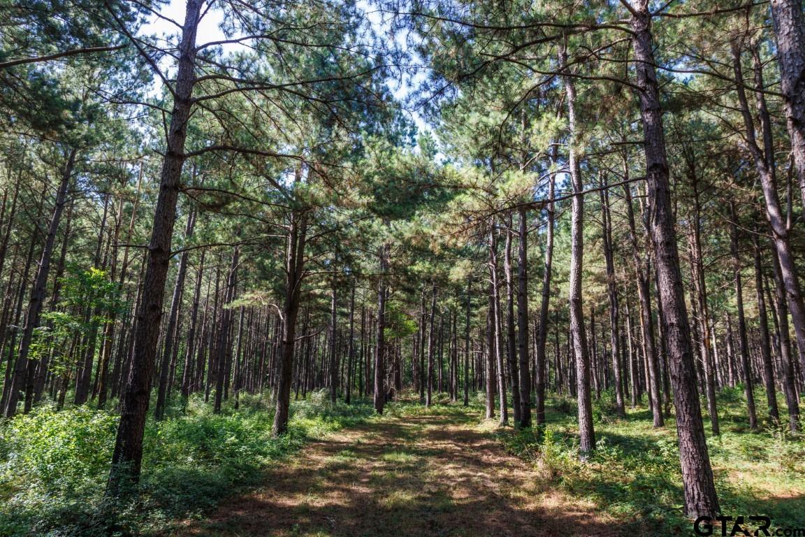 84 Timpson Tx 75975 Timpson, TX 75975 - Photo 33 of 36