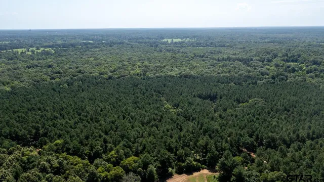 an aerial view of residential house and green space