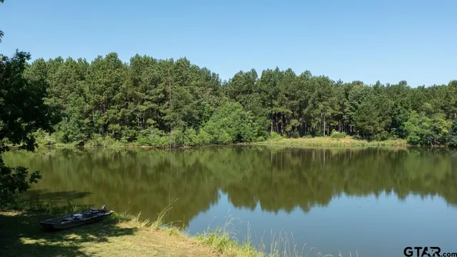 a view of a lake with a mountain in the background