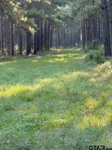 a backyard of a house with lots of green space and fountain