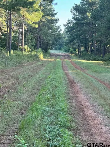 a view of outdoor space with trees all around