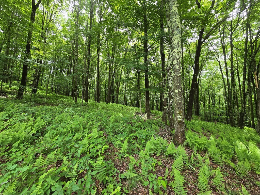 3074 State Road Andes, NY 13731 - Photo 16 of 18