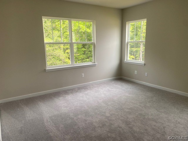 9124 Moldova Road Chesterfield, VA 23832 - Photo 19 of 26 an empty room with windows