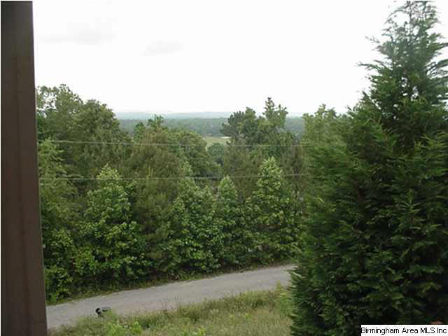 31 Dorough Street, Unit 6 Steele, AL 35987 - Photo 26 of 28