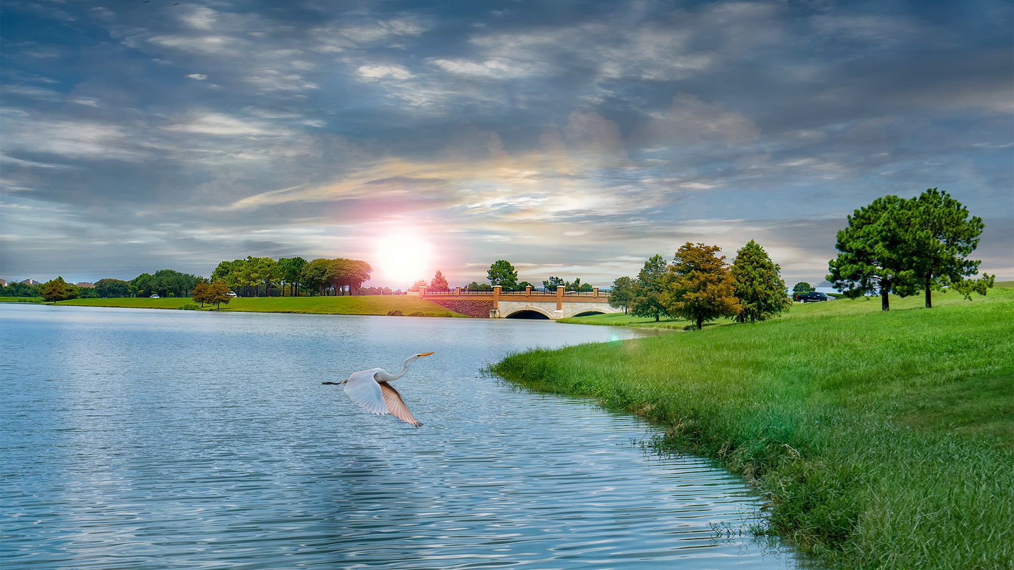 11226 Common Wingstem Road Cypress, TX 77433 - Photo 9 of 11