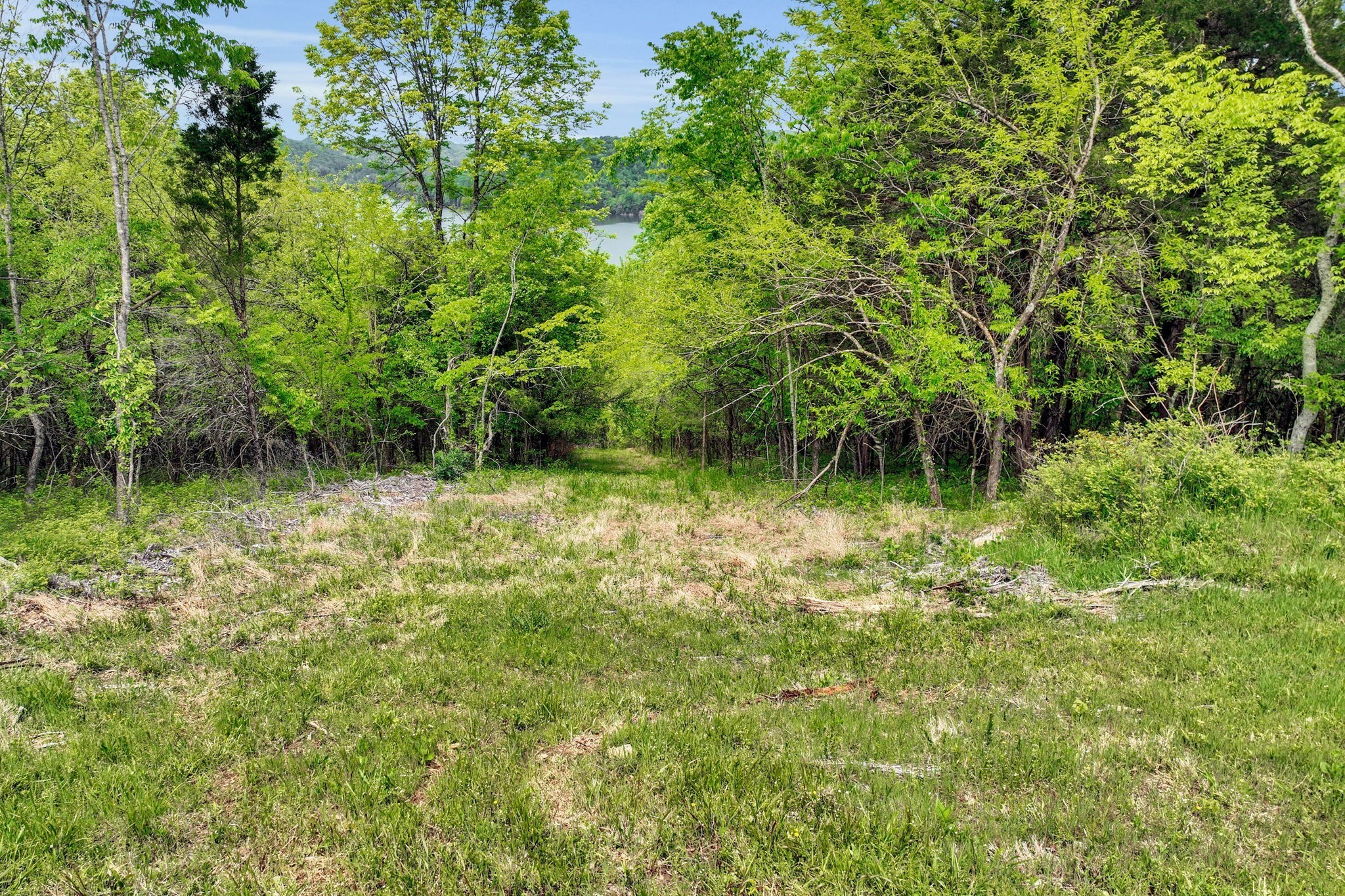 560 Sullivan Bend Road Elmwood, TN 38560 - Photo 16 of 42 a backyard of a house with lots of green space and fountain