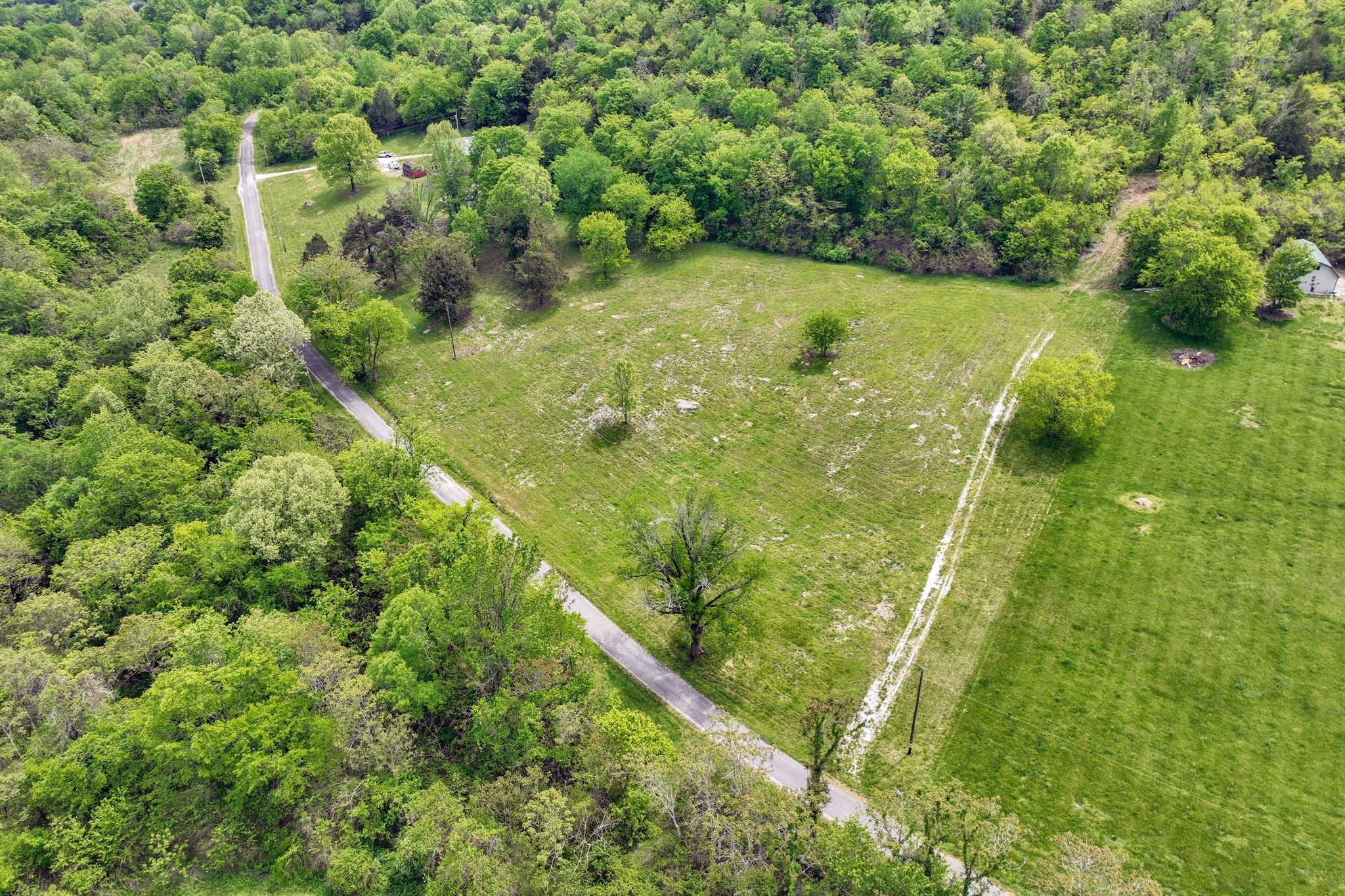 560 Sullivan Bend Road Elmwood, TN 38560 - Photo 19 of 42 a view of a garden