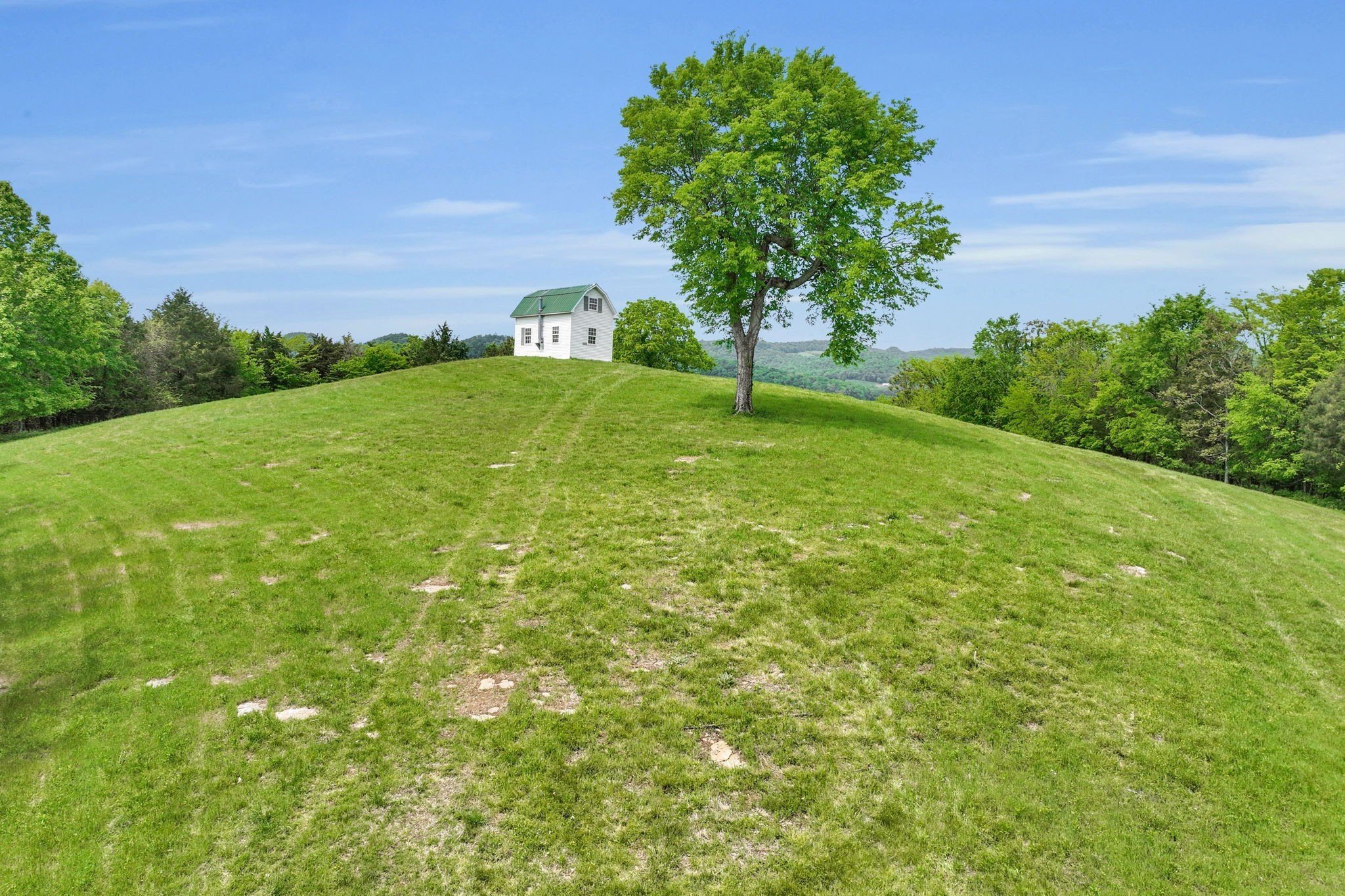 560 Sullivan Bend Road Elmwood, TN 38560 - Photo 10 of 42 a view of yard with green space