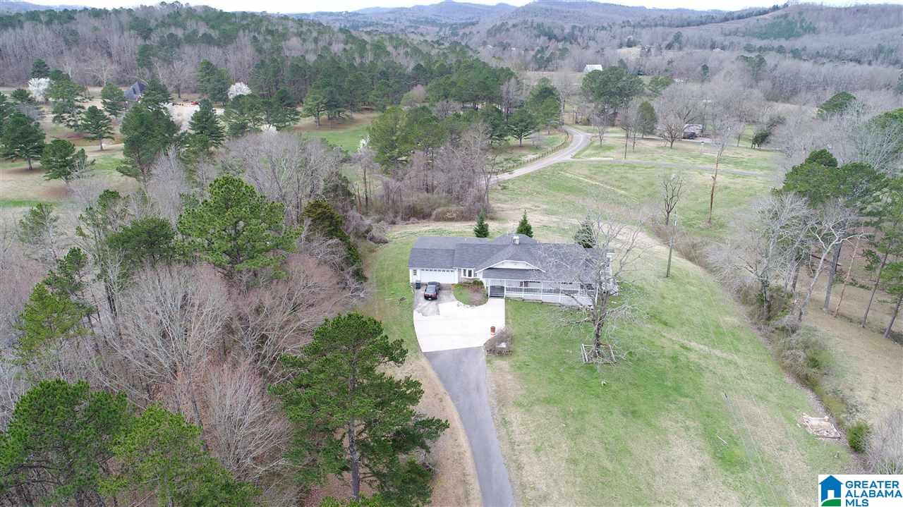 8430 Clayton Cove Road Springville, AL 35146 - Photo 1 of 20