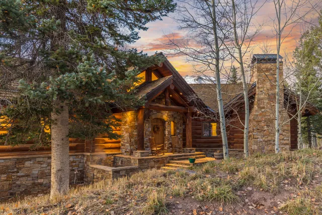 a view of a house with backyard and trees